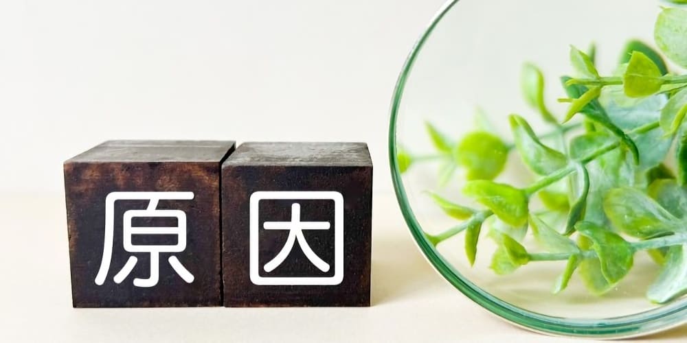 レボノルゲストレルの服用に失敗する5つの原因